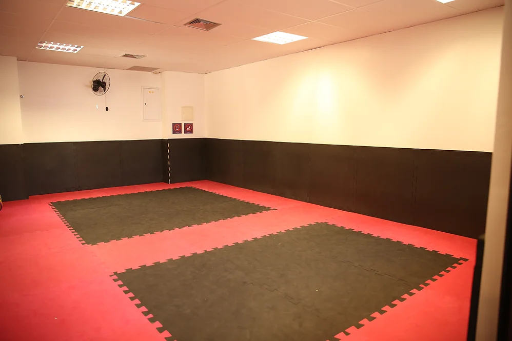 Sala de Artes Marciais: Nossa escola valoriza a disciplina e o autocontrole por meio das artes marciais, promovendo o desenvolvimento físico e mental dos alunos.